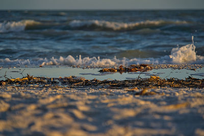 Surface level of beach against sky