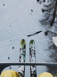 Low section of person standing on snow