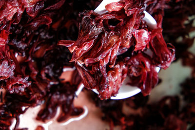 Close-up of dried red rose