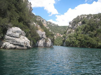 Scenic view of river amidst trees against sky