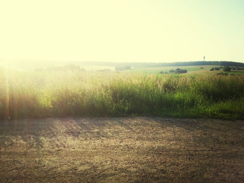 clear sky, tranquil scene, copy space, grass, tranquility, landscape, field, scenics, beauty in nature, nature, growth, green color, grassy, plant, idyllic, rural scene, hill, non-urban scene, water, no people