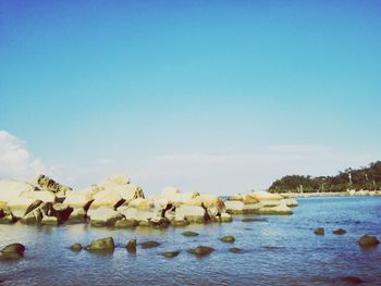 Ducks swimming in water against clear blue sky