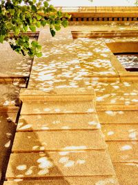 High angle view of footpath by swimming pool