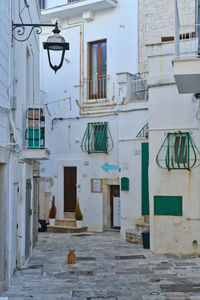 A street of monopoli, an old town in puglia, italy.