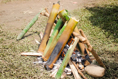 High angle view of wooden log on field