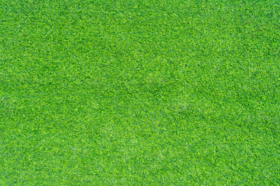 Full frame shot of green field