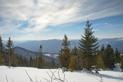 Frosty day on the top of the mountain