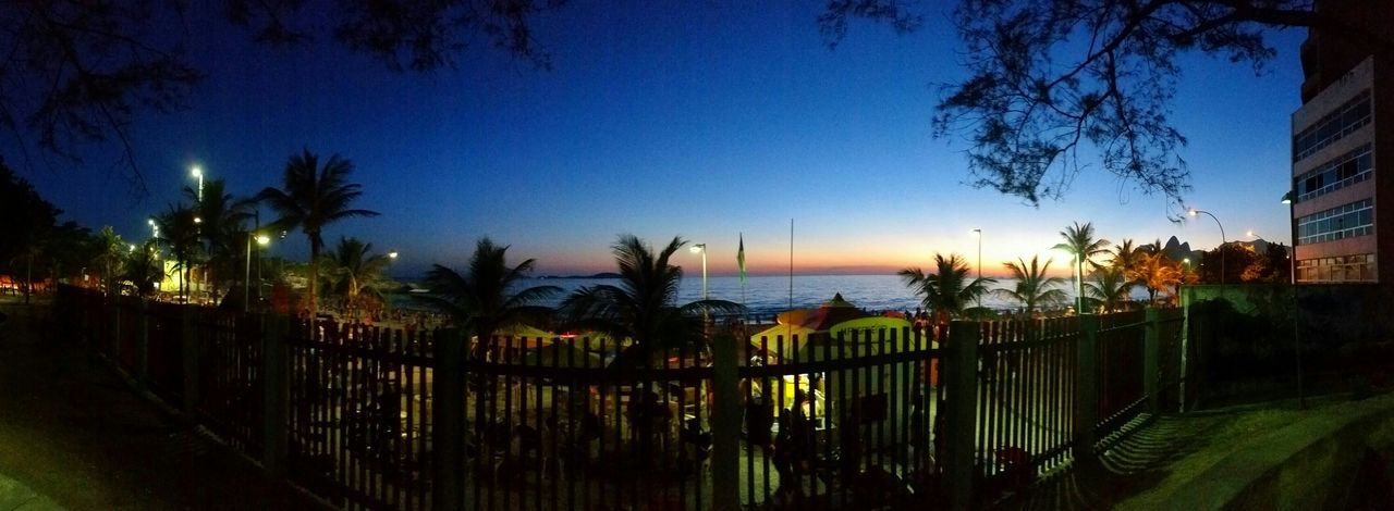 sea, water, tranquility, tranquil scene, beach, horizon over water, sunset, scenics, blue, tree, beauty in nature, sky, clear sky, shore, nature, idyllic, palm tree, silhouette, growth, sunlight