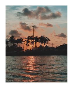 Silhouette palm trees by sea against sky during sunset