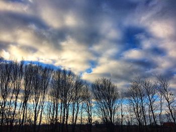 Low angle view of silhouette bare trees against dramatic sky