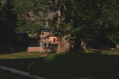 Trees and houses on field by building