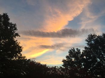 Low angle view of silhouette trees against sky