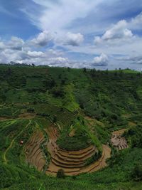 Scenic view of agricultural field against sky