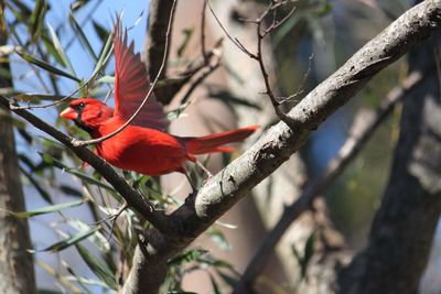 Bird perching on branch