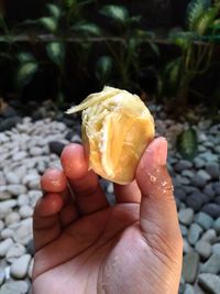Close-up of hand holding durian