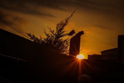 Low angle view of silhouette plants against sky during sunset