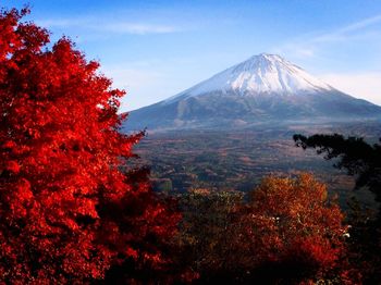 Scenic view of trees by mountains against sky