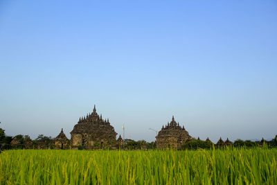 Panoramic view of temple on field against clear sky