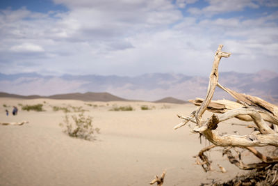 Close-up of sand dune in desert against sky