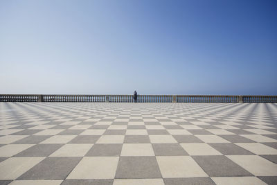 Rear view of man leaning on railing over tiled floor against clear sky