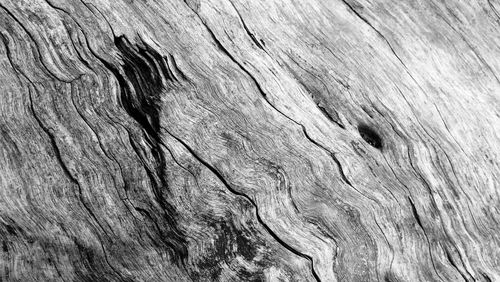 Full frame shot of textured surface