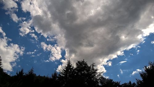 Low angle view of trees against cloudy sky