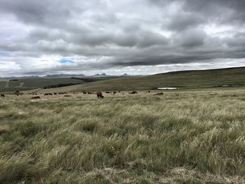 Scenic view of landscape against cloudy sky