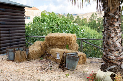 Hay bales on field against trees