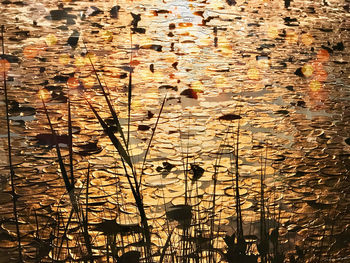 Full frame shot of water