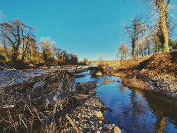 Scenic view of river amidst trees against clear sky