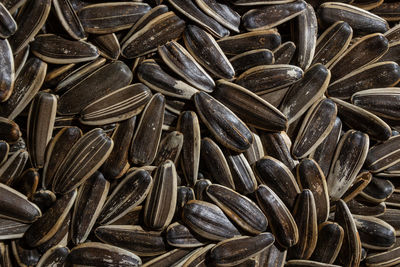 sunflower seed