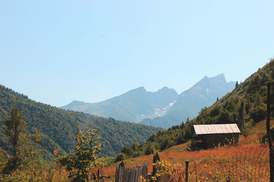 mountain