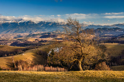 Scenic view of landscape against sky