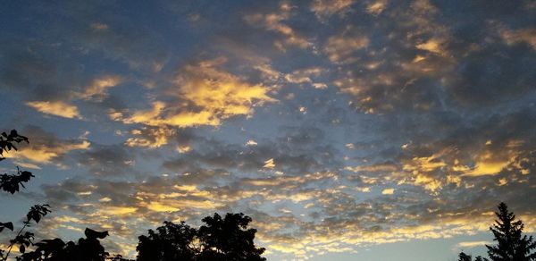 Low angle view of trees against dramatic sky