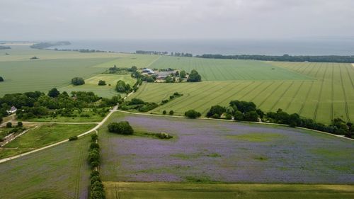 Scenic view of agricultural field against sky