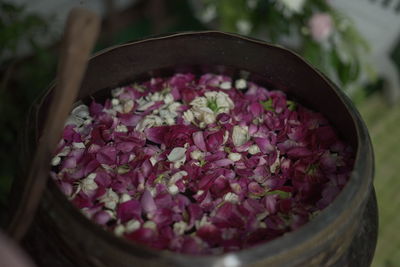 High angle view of pink roses in bowl