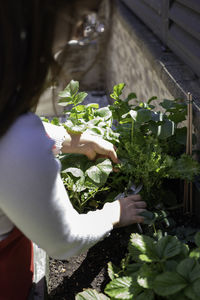 Midsection of woman holding plant