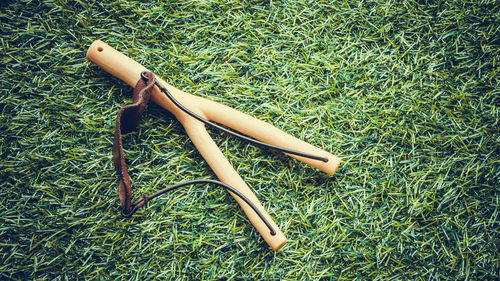 Close-up high angle view of grass