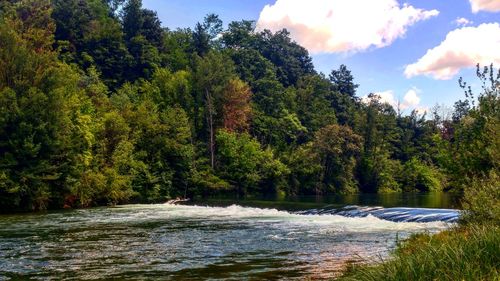 Scenic view of waterfall in forest against sky