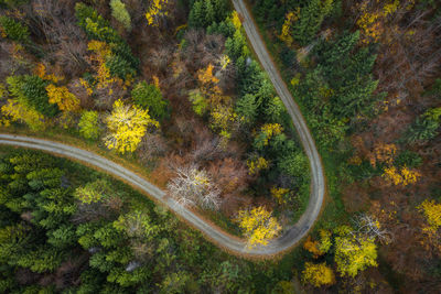 High angle view of road amidst trees in forest