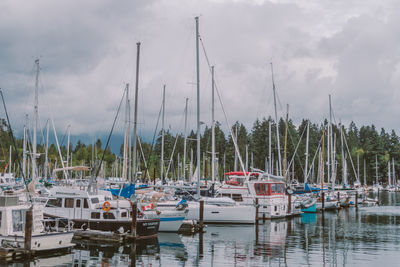 Boats moored at harbor