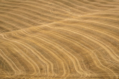 Full frame shot of sand dune