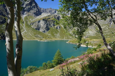 Scenic view of lake by trees against mountain