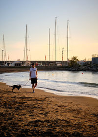 Rear view of man walking at beach against clear sky