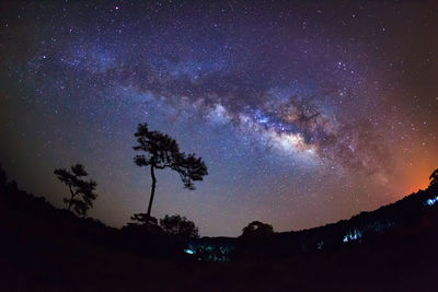 Low angle view of silhouette trees against star field