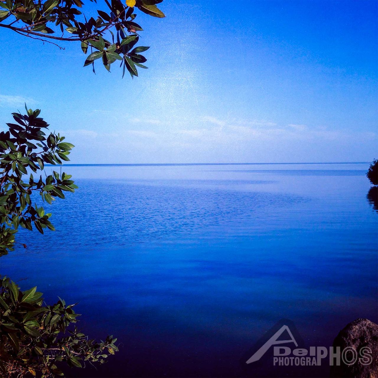 water, tranquil scene, blue, tranquility, horizon over water, scenics, sea, beauty in nature, tree, nature, sky, idyllic, copy space, clear sky, calm, reflection, seascape, lake, no people, waterfront