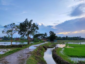 Scenic view of river amidst land against sky