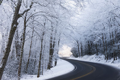 Snow covered road amidst trees during winter