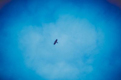 Low angle view of airplane flying in sky