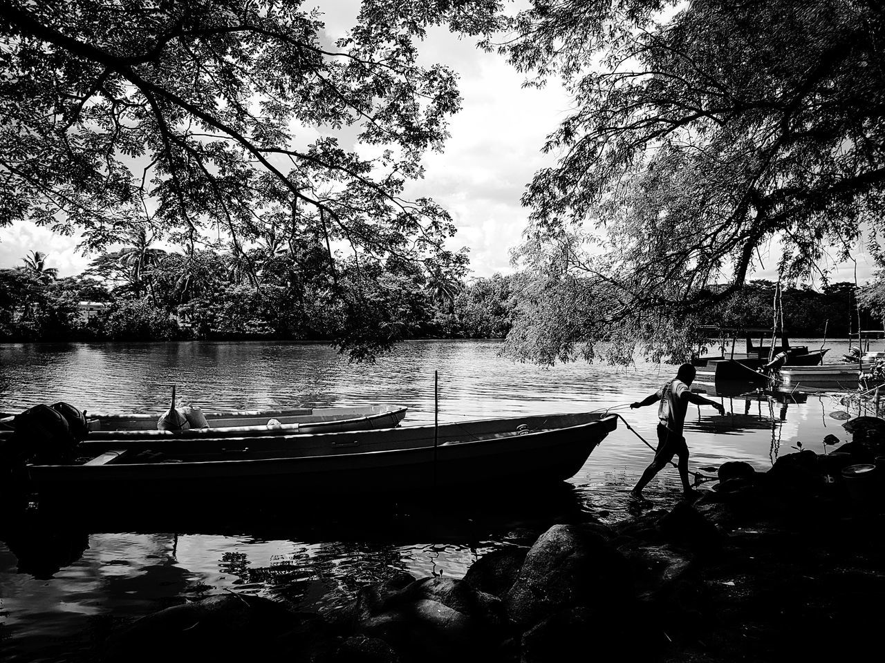 SILHOUETTE BOAT ON TREES BY SEA AGAINST SKY